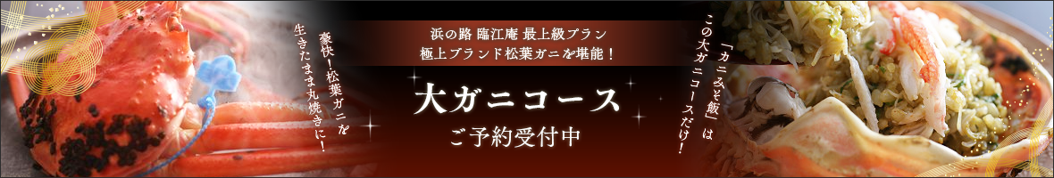 中古 Cランク フレックスr テーラーメイド アイアン Gloire F 16 7s クラブ Ns Pro Cランク 930gh R 男性用 右利き アイアンセット Ir ゴルフパートナー 店