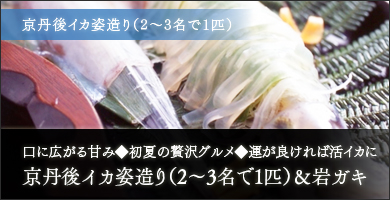京丹後イカ姿造り